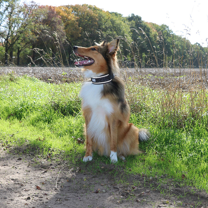 Reflecterende halsband EXPLOR fit control zwart