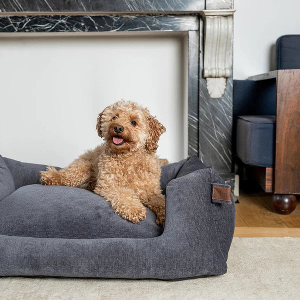 Fantail mand snooze Smoke Grey