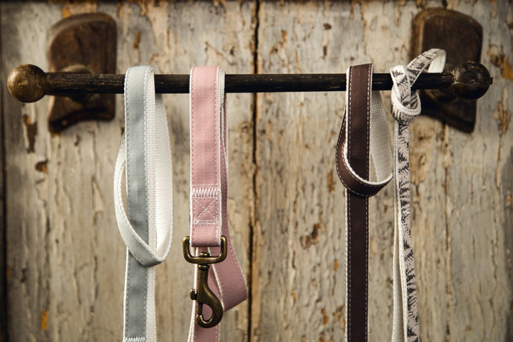 DBL looplijn virante licht roze - Pip & Pepper by Dierenspeciaalzaak Huysmans