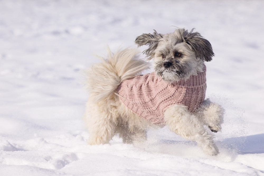 DBL hondentrui Haida roze - Pip & Pepper by Dierenspeciaalzaak Huysmans