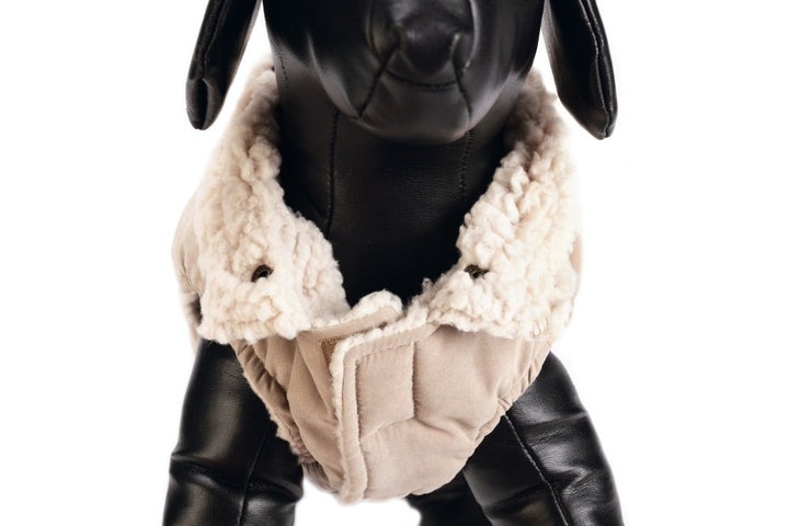 DBL hondenjas Philos beige - Pip & Pepper by Dierenspeciaalzaak Huysmans