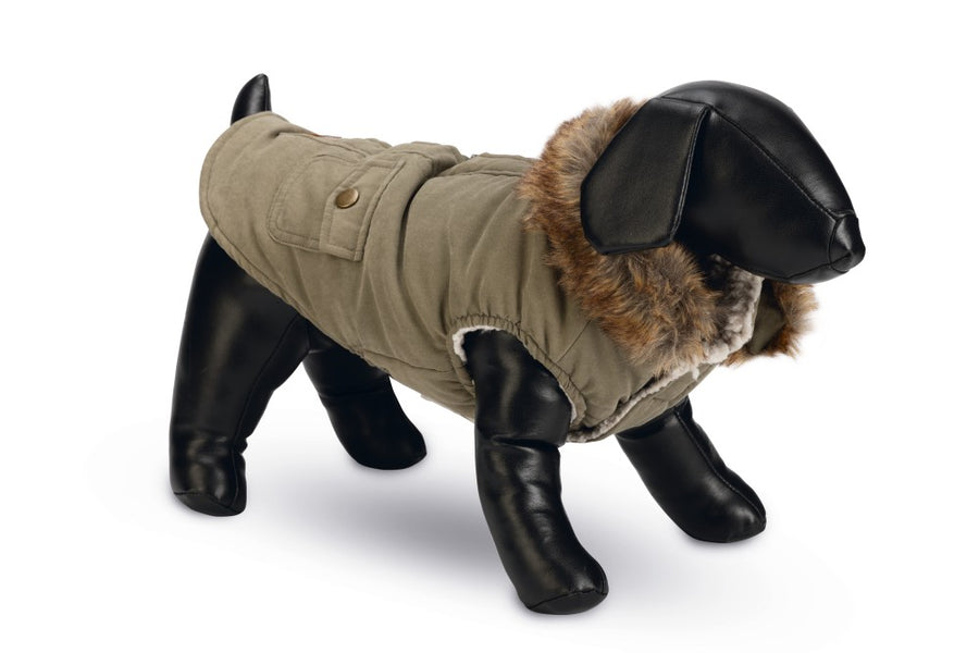 DBL hondenjas Philos groen - Pip & Pepper by Dierenspeciaalzaak Huysmans