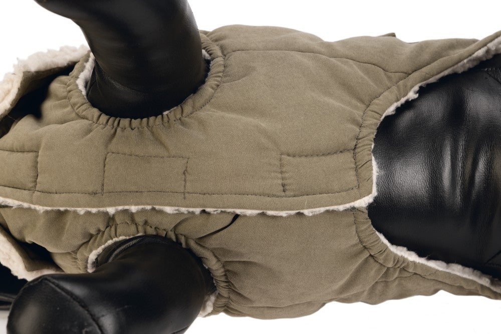 DBL hondenjas Philos groen - Pip & Pepper by Dierenspeciaalzaak Huysmans