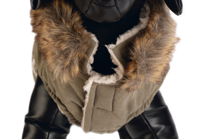 DBL hondenjas Philos groen - Pip & Pepper by Dierenspeciaalzaak Huysmans