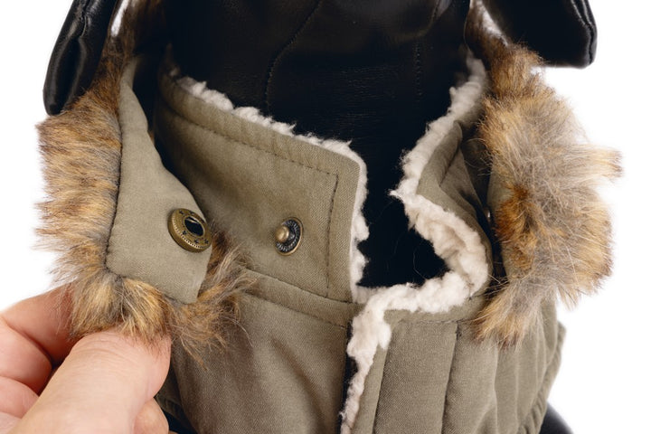 DBL hondenjas Philos groen - Pip & Pepper by Dierenspeciaalzaak Huysmans