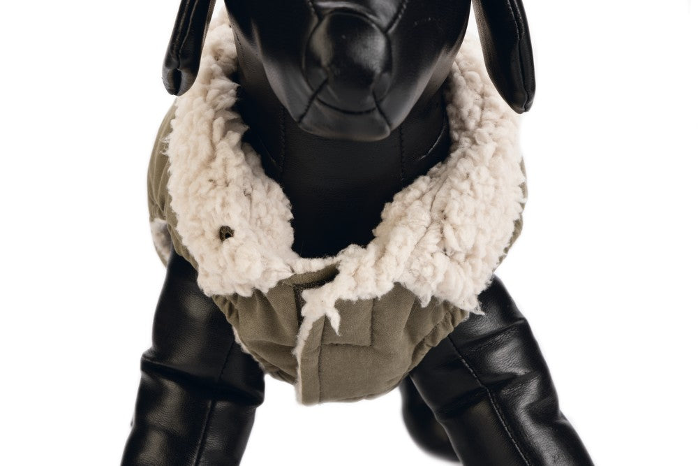 DBL hondenjas Philos groen - Pip & Pepper by Dierenspeciaalzaak Huysmans