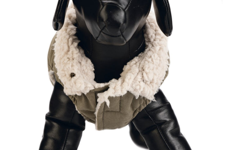 DBL hondenjas Philos groen - Pip & Pepper by Dierenspeciaalzaak Huysmans