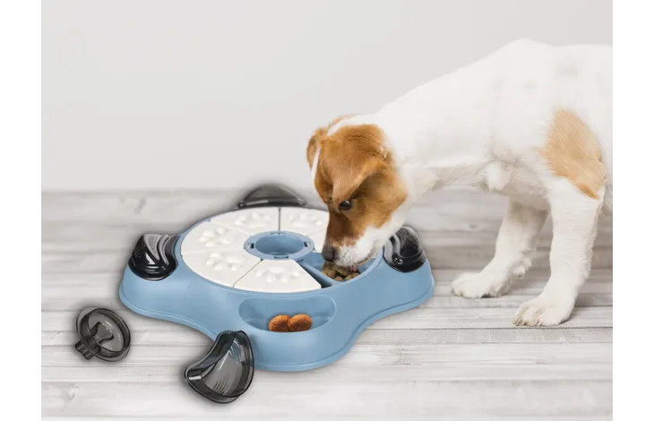 Brain train spel Cliff - Pip & Pepper by Dierenspeciaalzaak Huysmans