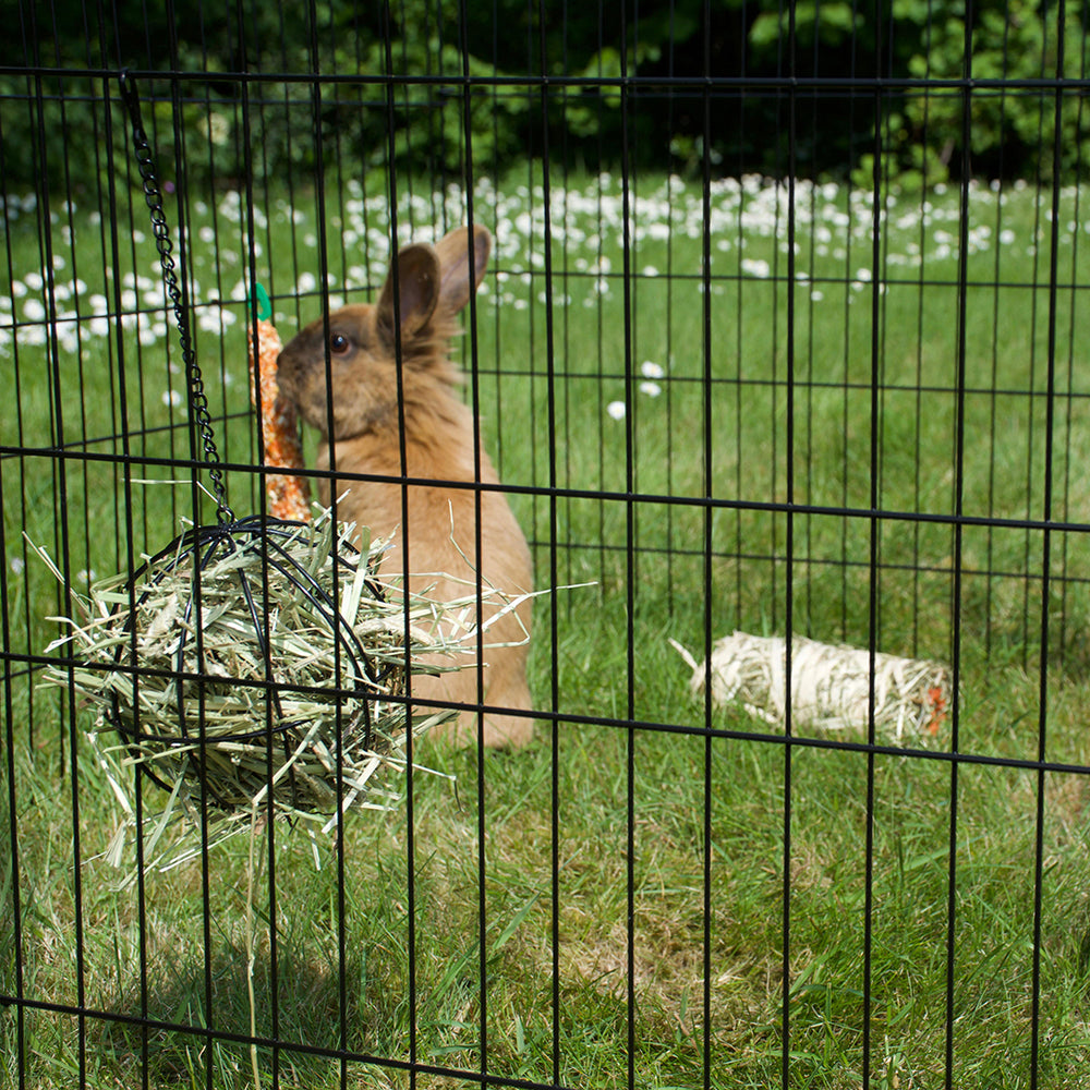 Snackbal voor knaagdieren - Pip & Pepper by Dierenspeciaalzaak Huysmans