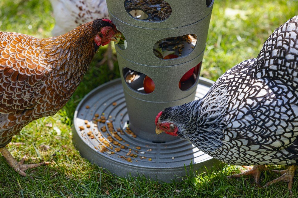 Voertoren kip - Pip & Pepper by Dierenspeciaalzaak Huysmans