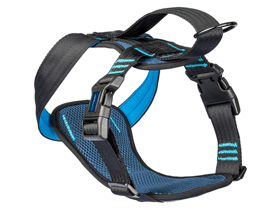 Harnas Carsafe crash tested - Pip & Pepper by Dierenspeciaalzaak Huysmans