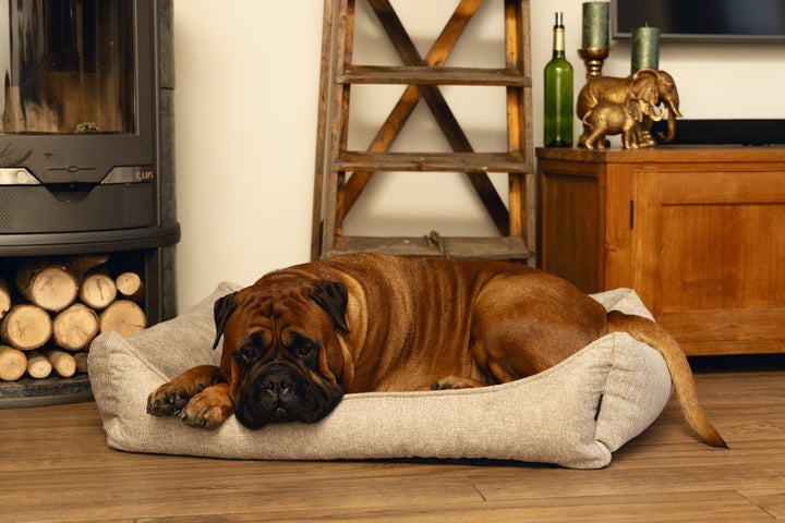 Hondenmand Zia memory foam beige - Pip & Pepper by Dierenspeciaalzaak Huysmans