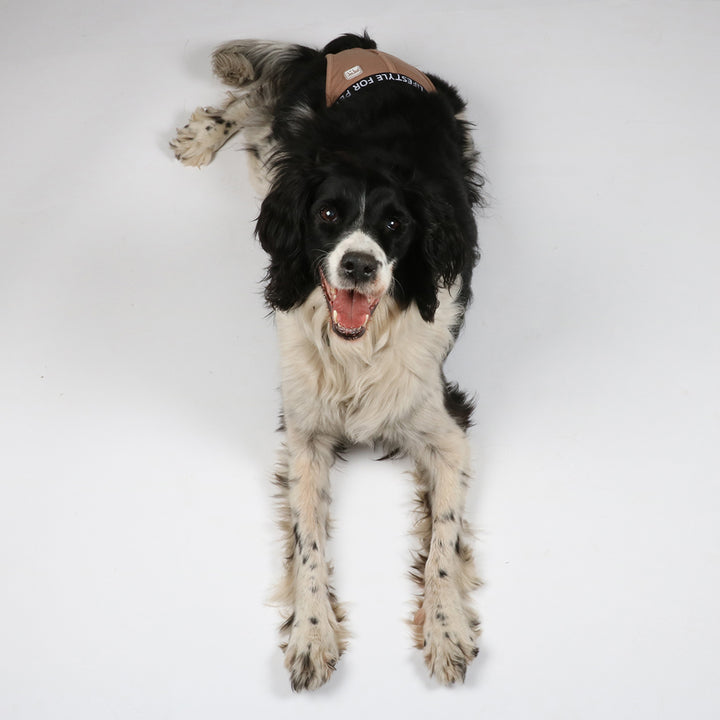 Hondenbroekje bruin L 40-49 cm - Pip & Pepper by Dierenspeciaalzaak Huysmans