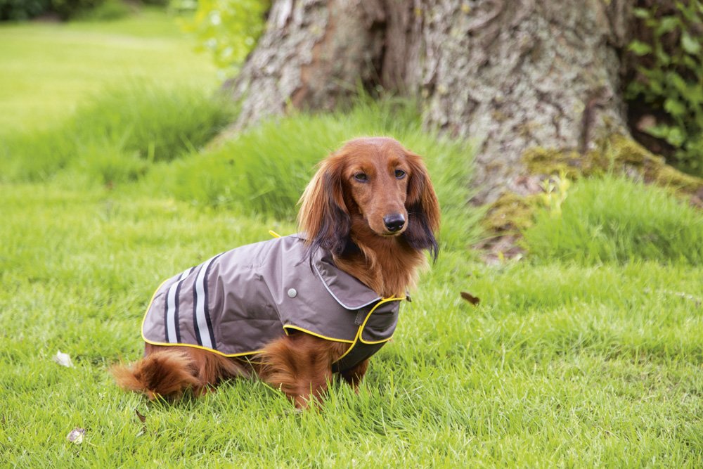 Honden regenjas Seja - Pip & Pepper by Dierenspeciaalzaak Huysmans