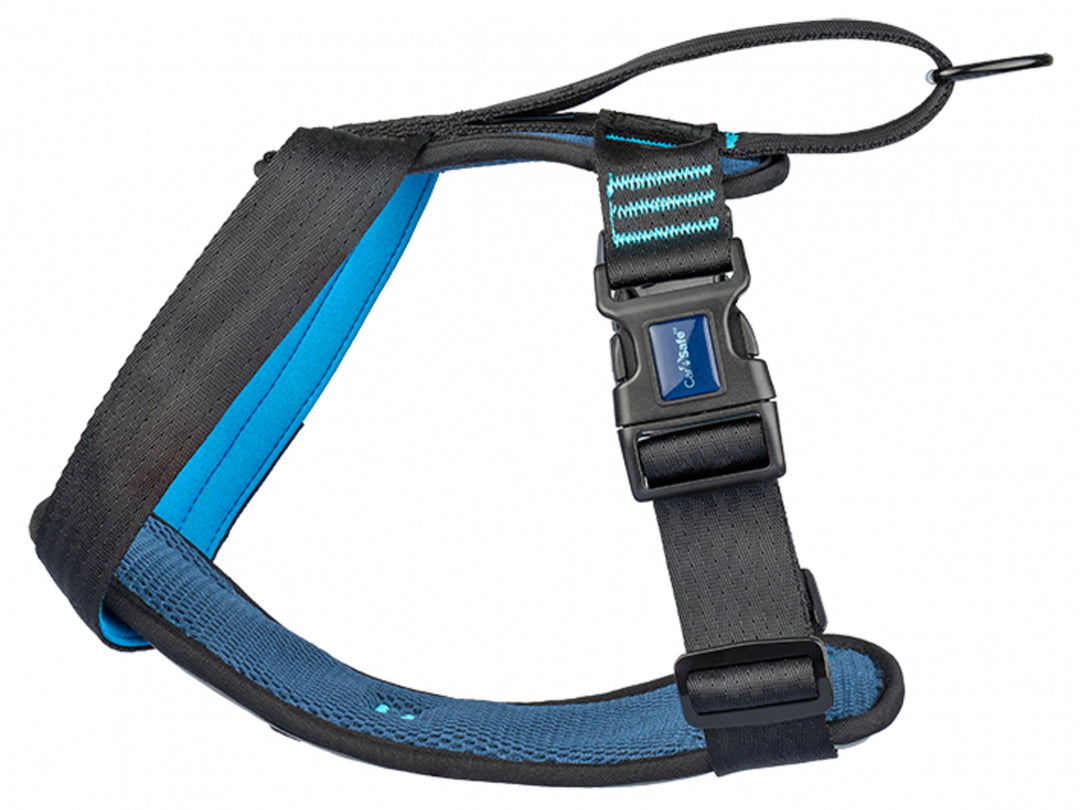 Harnas Carsafe crash tested - Pip & Pepper by Dierenspeciaalzaak Huysmans