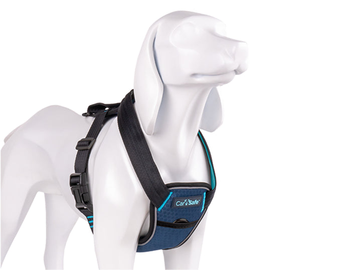 Harnas Carsafe crash tested - Pip & Pepper by Dierenspeciaalzaak Huysmans