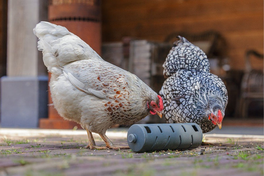 Snackroller kippen - Pip & Pepper by Dierenspeciaalzaak Huysmans