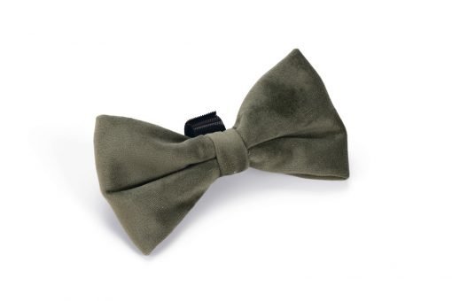 Hondenstrik velvet groen - Pip & Pepper by Dierenspeciaalzaak Huysmans