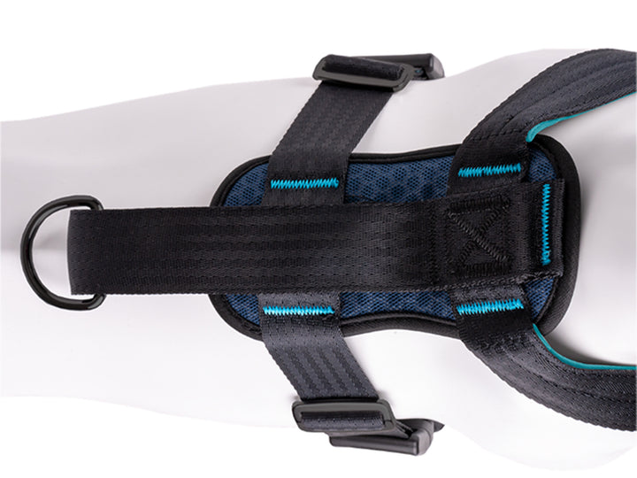 Harnas Carsafe crash tested - Pip & Pepper by Dierenspeciaalzaak Huysmans