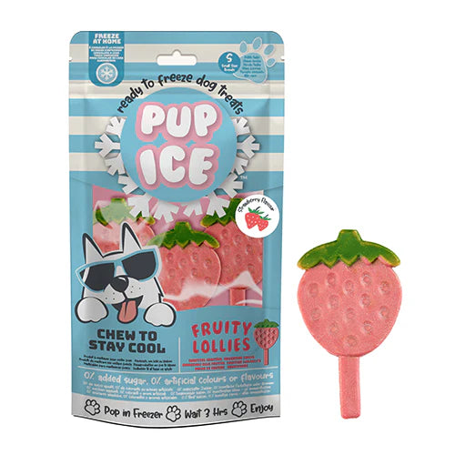 Hondenijsje fruitlollie aardbei