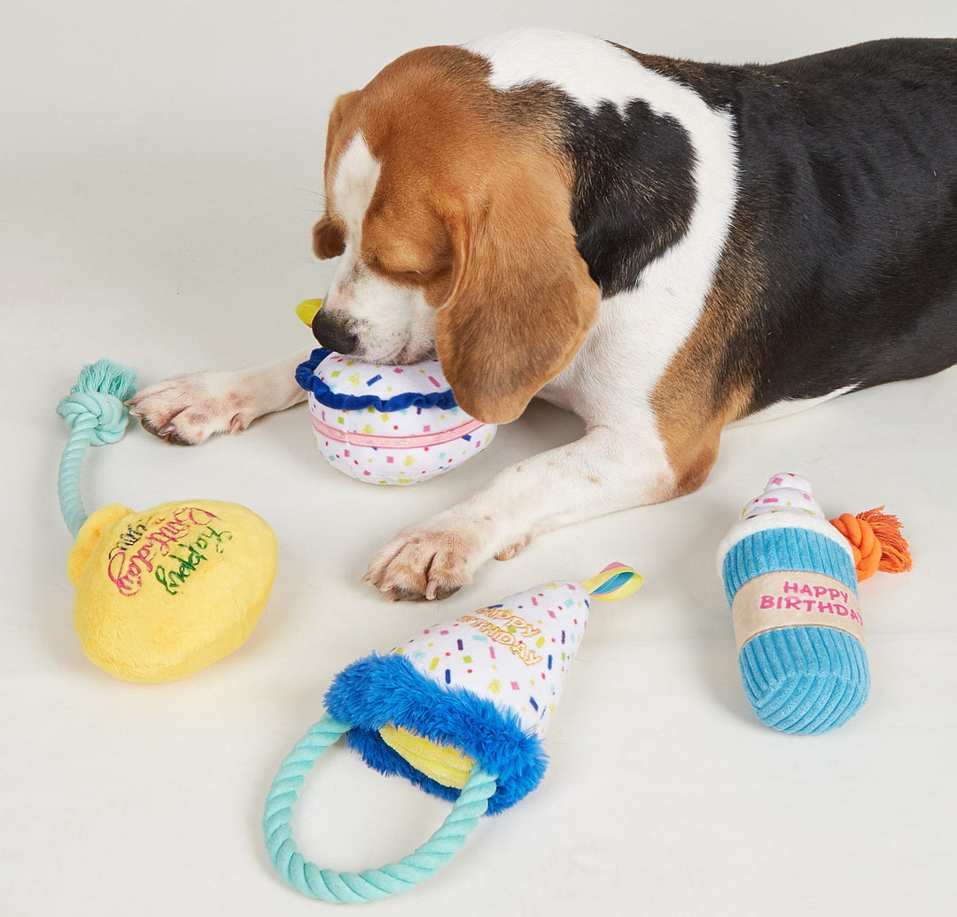 Verjaardagsdrankje hond verjaardag