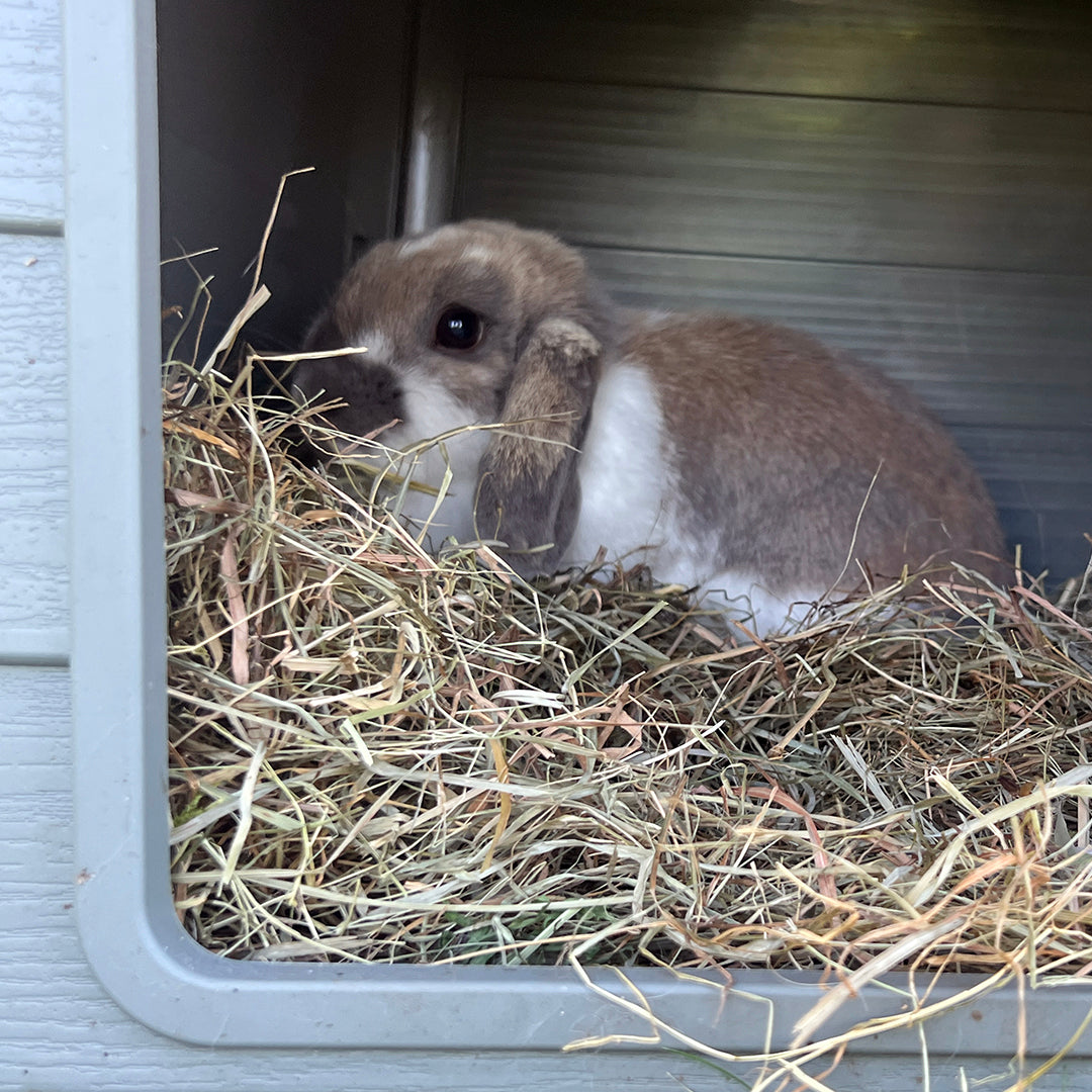 Kruidenhooi rozenbottel 500 gr