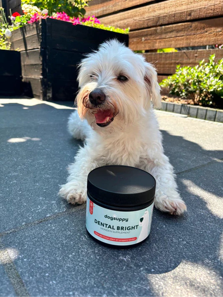Dogsuppy Dental Bright 90gr