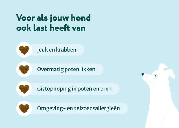 Dogsuppy Probiotica anti-jeuk zonder vlees 60st