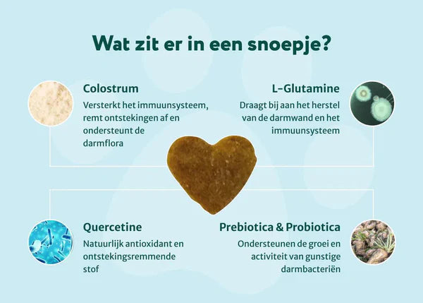 Dogsuppy Probiotica anti-jeuk zonder vlees 60st