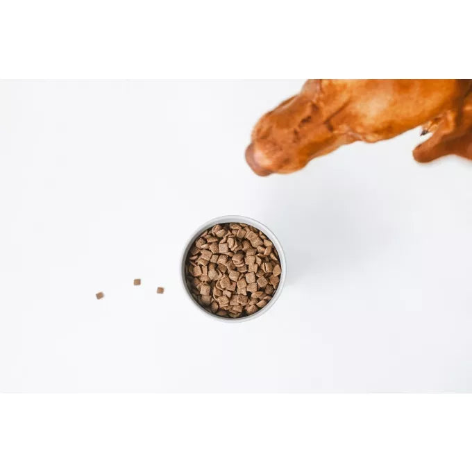 Superior care voor honden met rode vacht adult zalm4kg