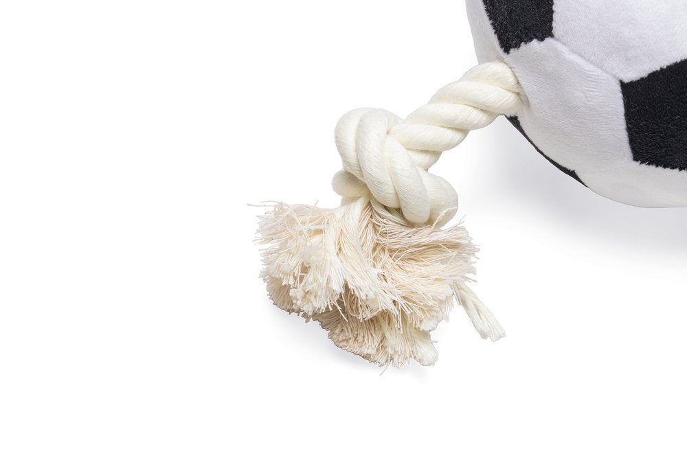 BZ pluche voetbal met touw 27 cm