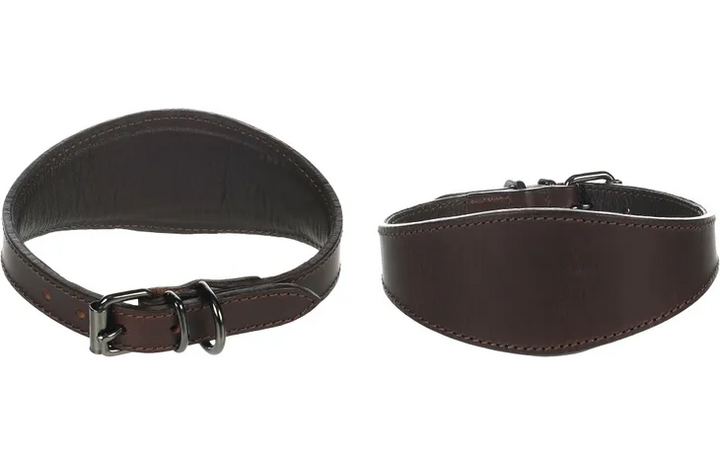 Halsband whippet windhond bruin