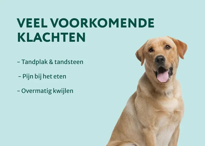 Dogsuppy Dental Bright 90gr