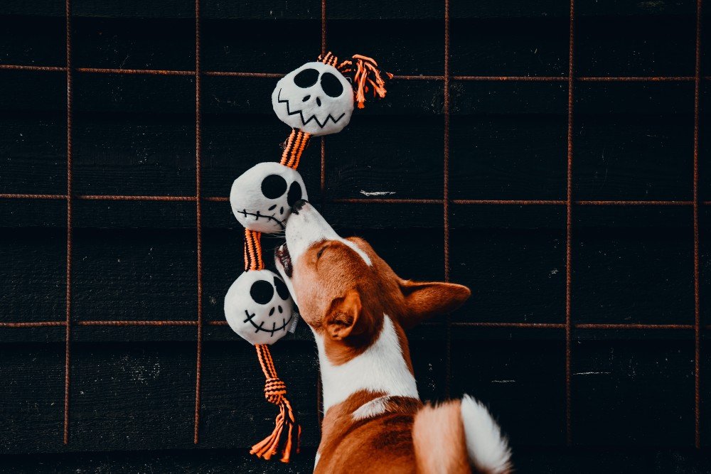 Spookjesballen met touw
