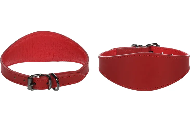 Halsband whippet windhond rood