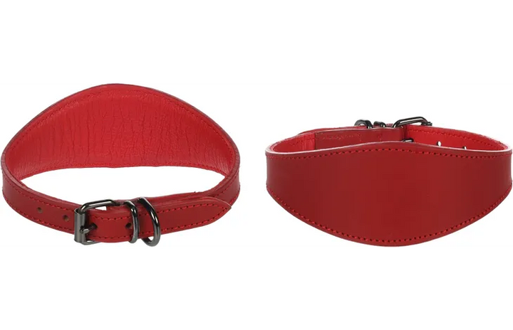 Halsband whippet windhond rood