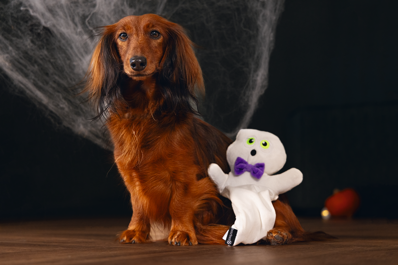 Halloween spookie wit
