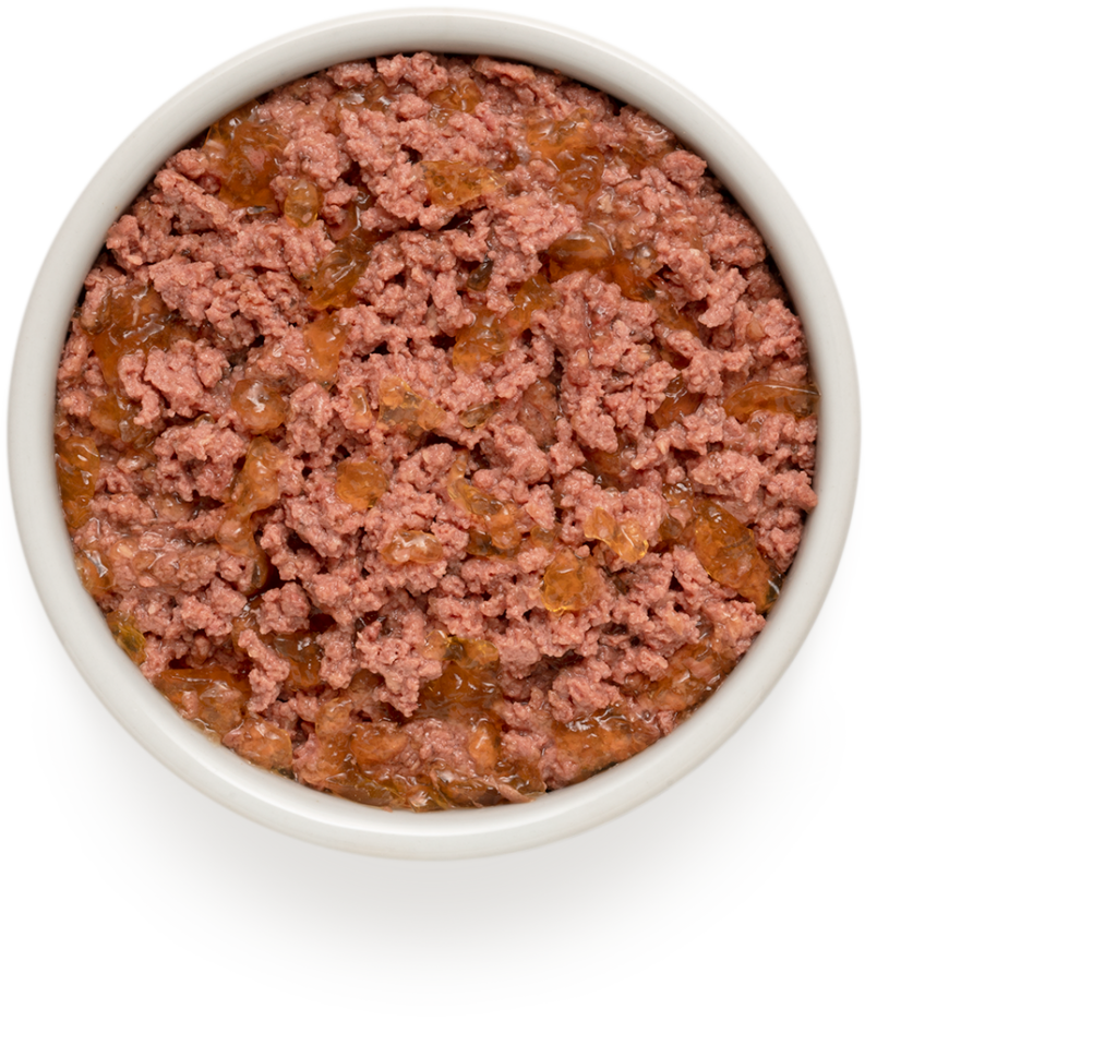 Grandorf: pure en natuurlijke voeding voor honden en katten Grandorf: pure en natuurlijke voeding voor honden en katten