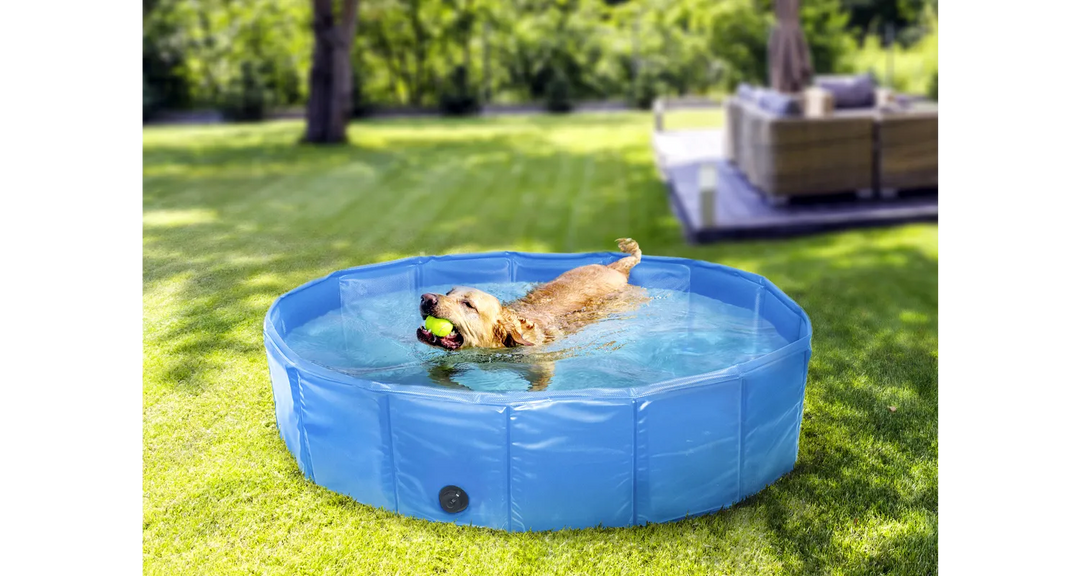 Hondenzwembad doggy splash 160cm L