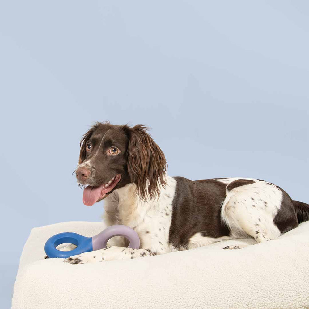 Outward hound Anti- schrokbak - Voerbak - Grijs - 29 cm Outward hound Anti- schrokbak - Voerbak - Grijs - 29 cm