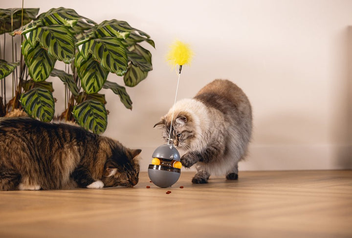Kattenspeelgoed Wibol interactief