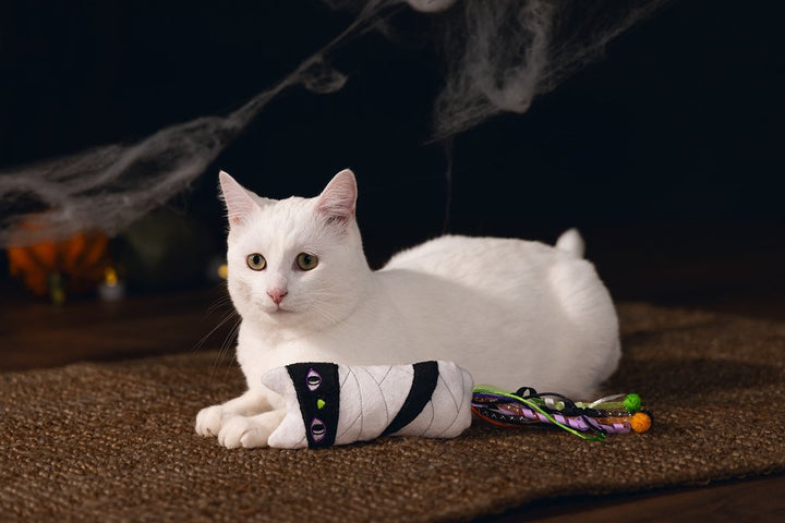Halloween kattenspeelgoed mummie