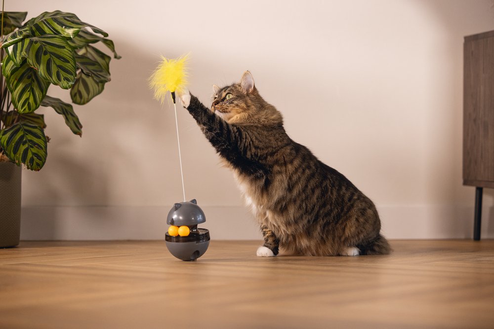 Kattenspeelgoed Wibol interactief