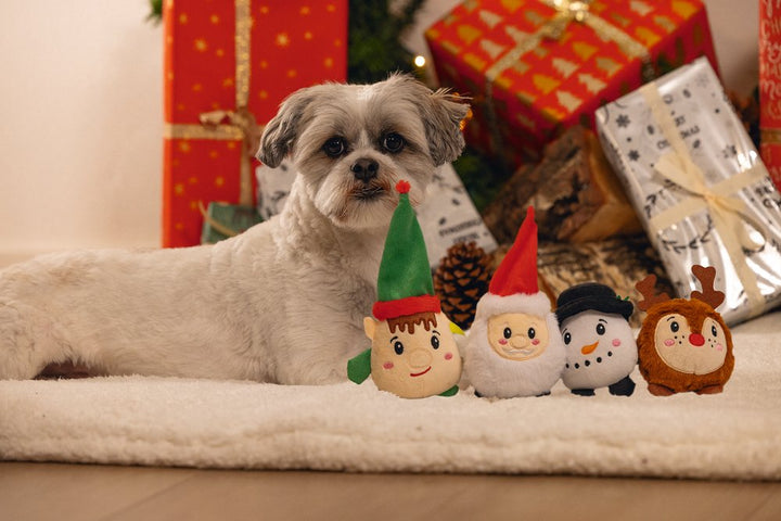 Kerst figuur 1st