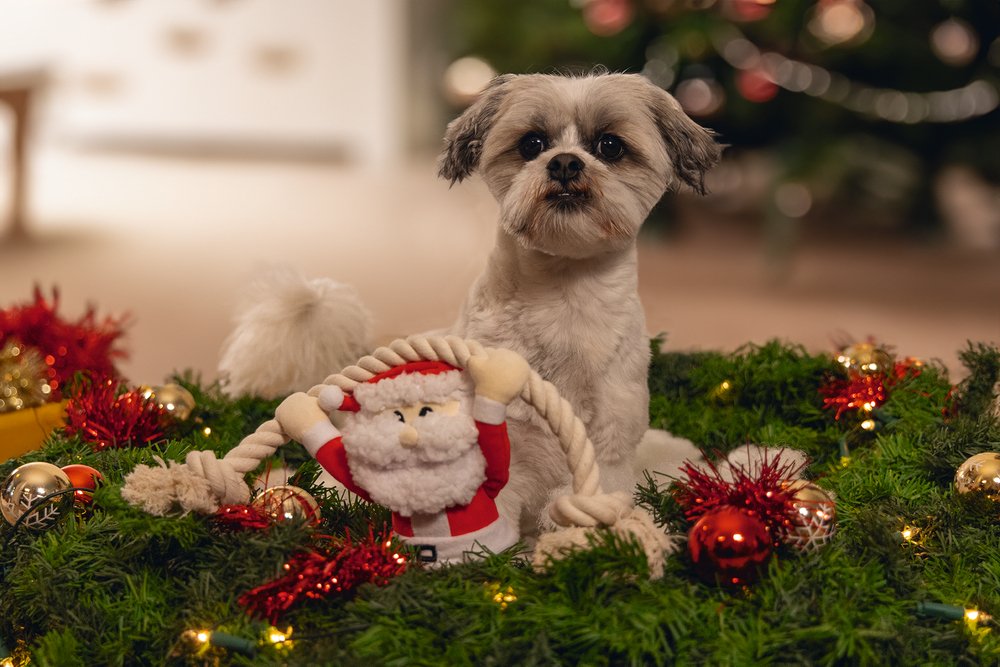 Kerstknuffel kerstman + touw 20cm