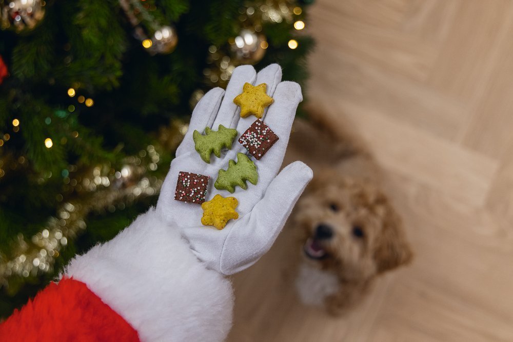 Kerst box kerstkoekjes mix 32st