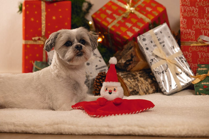 Kerst knuffeldoek kerstman