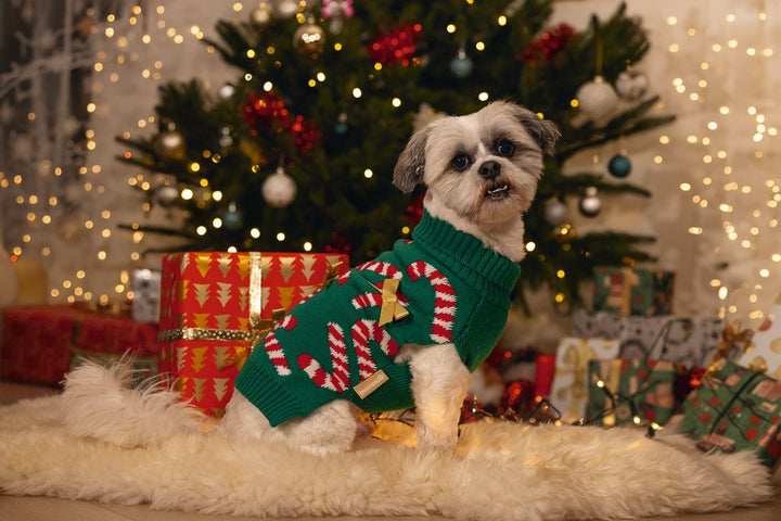Kersttrui hond Candy canes hond M