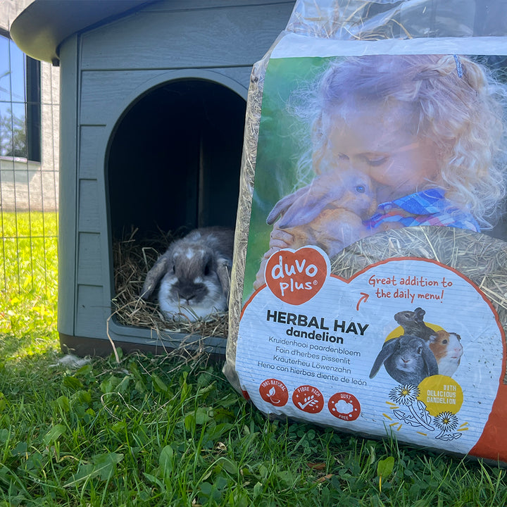 Kruidenhooi paardenbloem 1kg