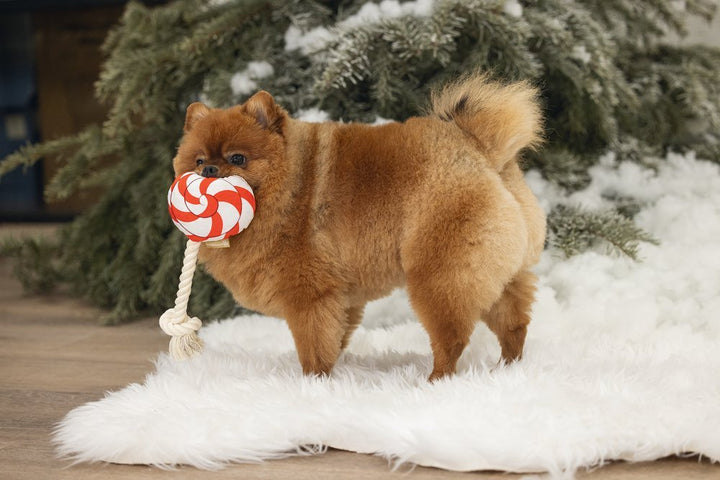 Kerst lolly rood 25cm
